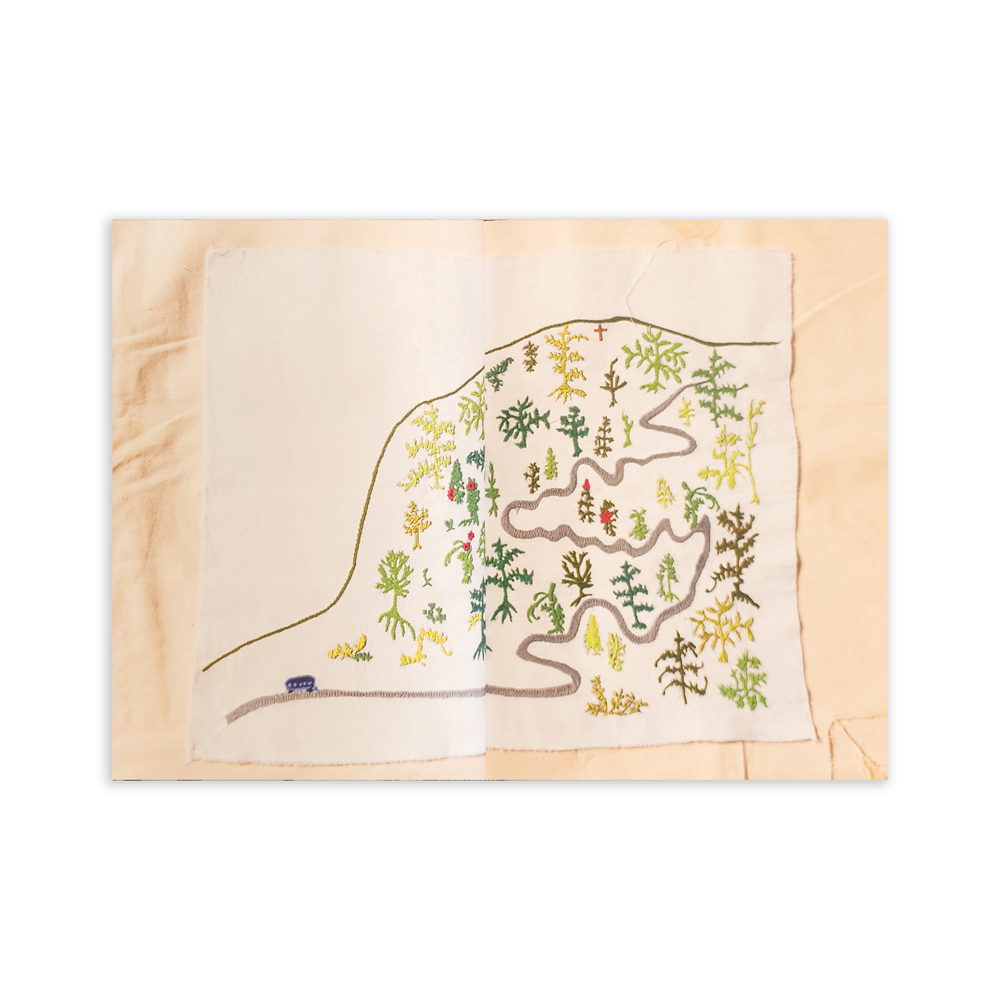 Camino a Tenango - Gimena Romero