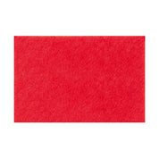 Fieltro Rico 20x30cm