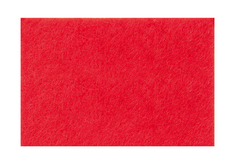 Fieltro Rico 20x30cm