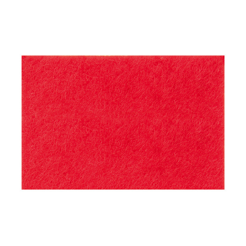 Fieltro Rico 20x30cm