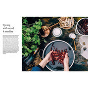 The Wild Dyer - Abigail Booth