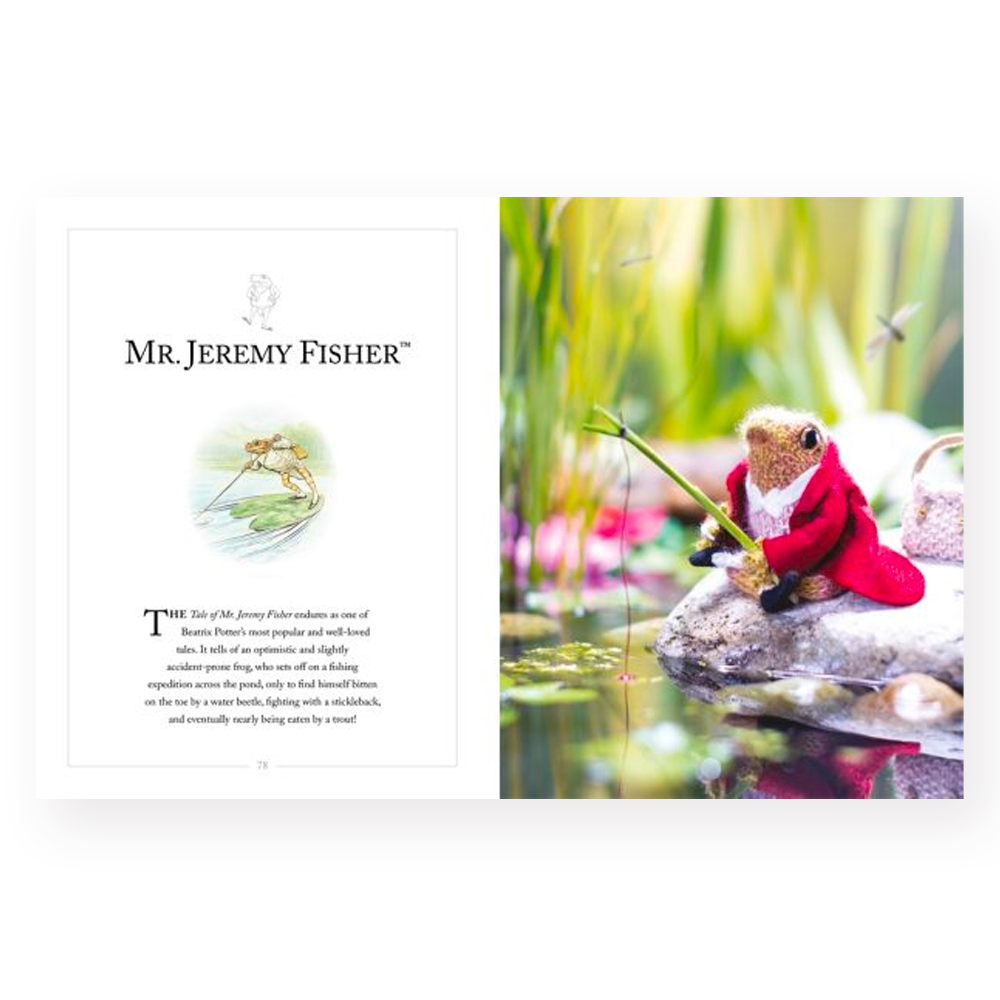 Knitting Peter Rabbit - Claire Garland