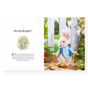 Knitting Peter Rabbit - Claire Garland