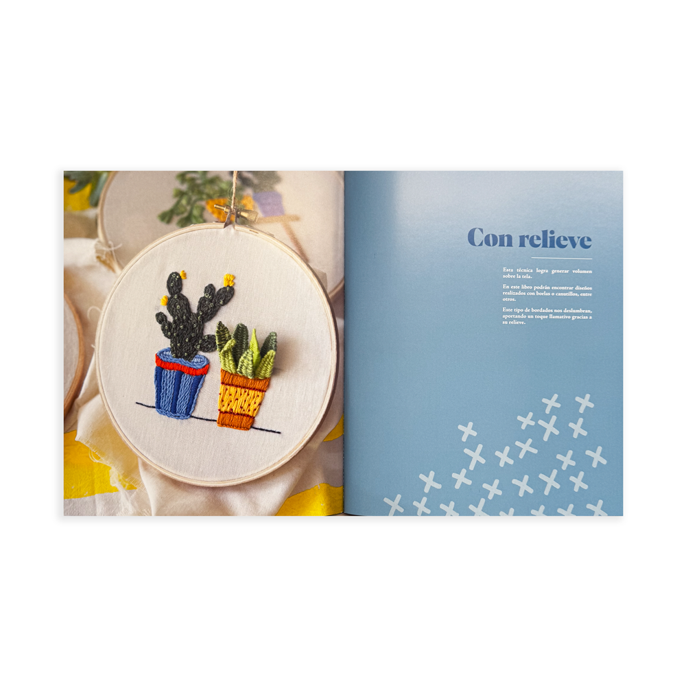 Bordar Sin Límites - Equipo Veredit