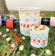 Patron Cesta Crochet Tapestry