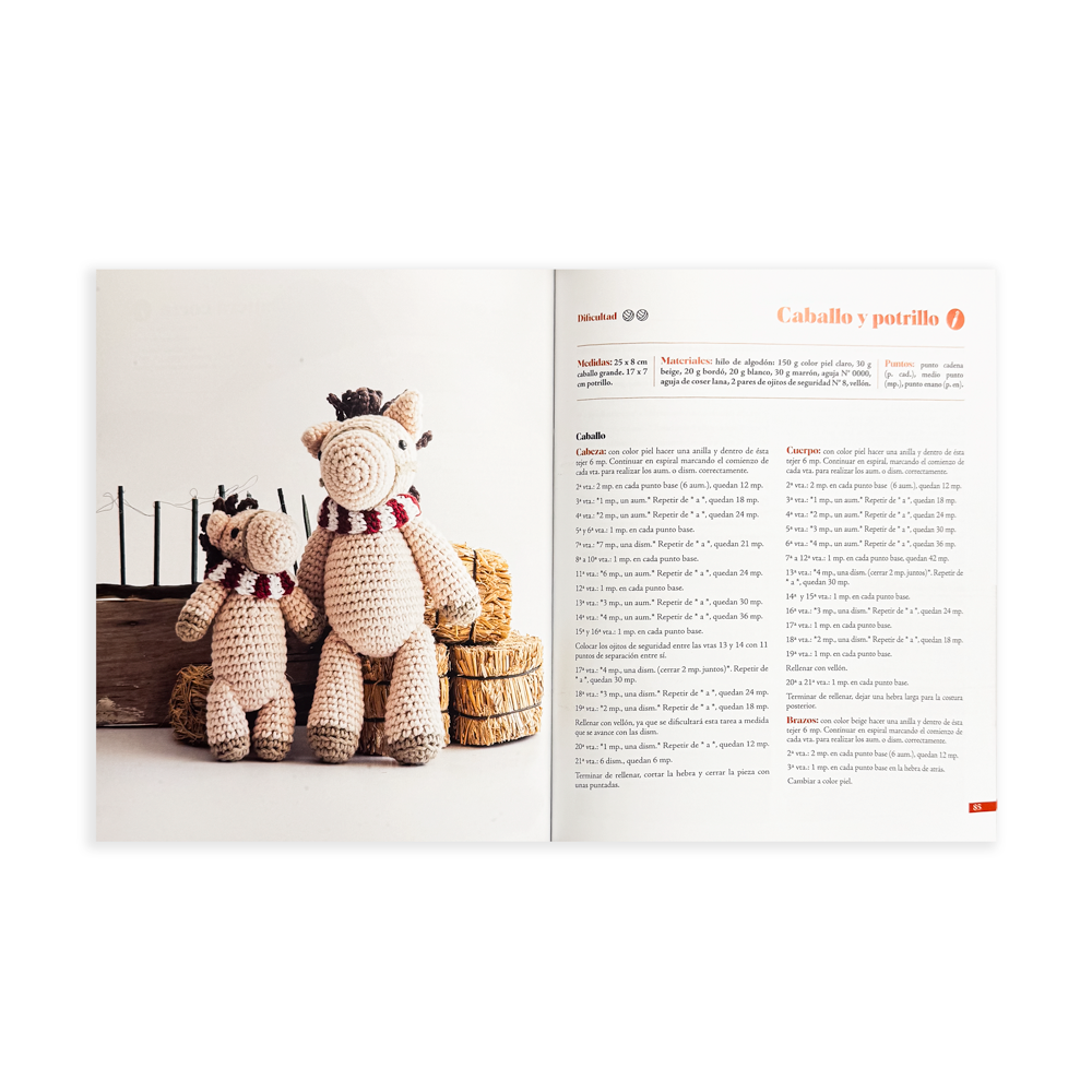 Tejeramigos_Libros_Dentro1_75ca6c3a-4286-423e-81ec-24b410f14d88.png