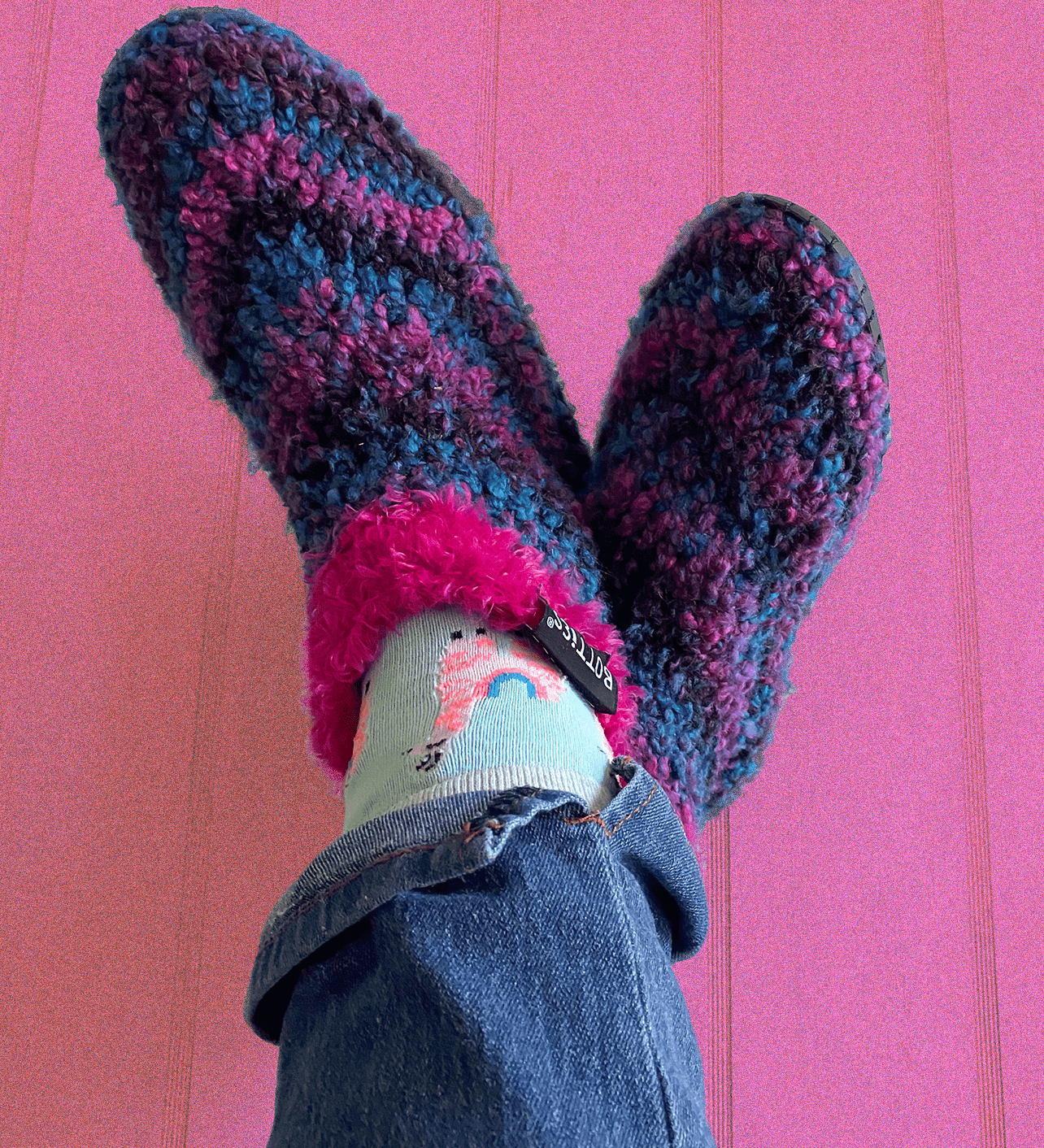 pantuflas-bryophyta_foto-2.png