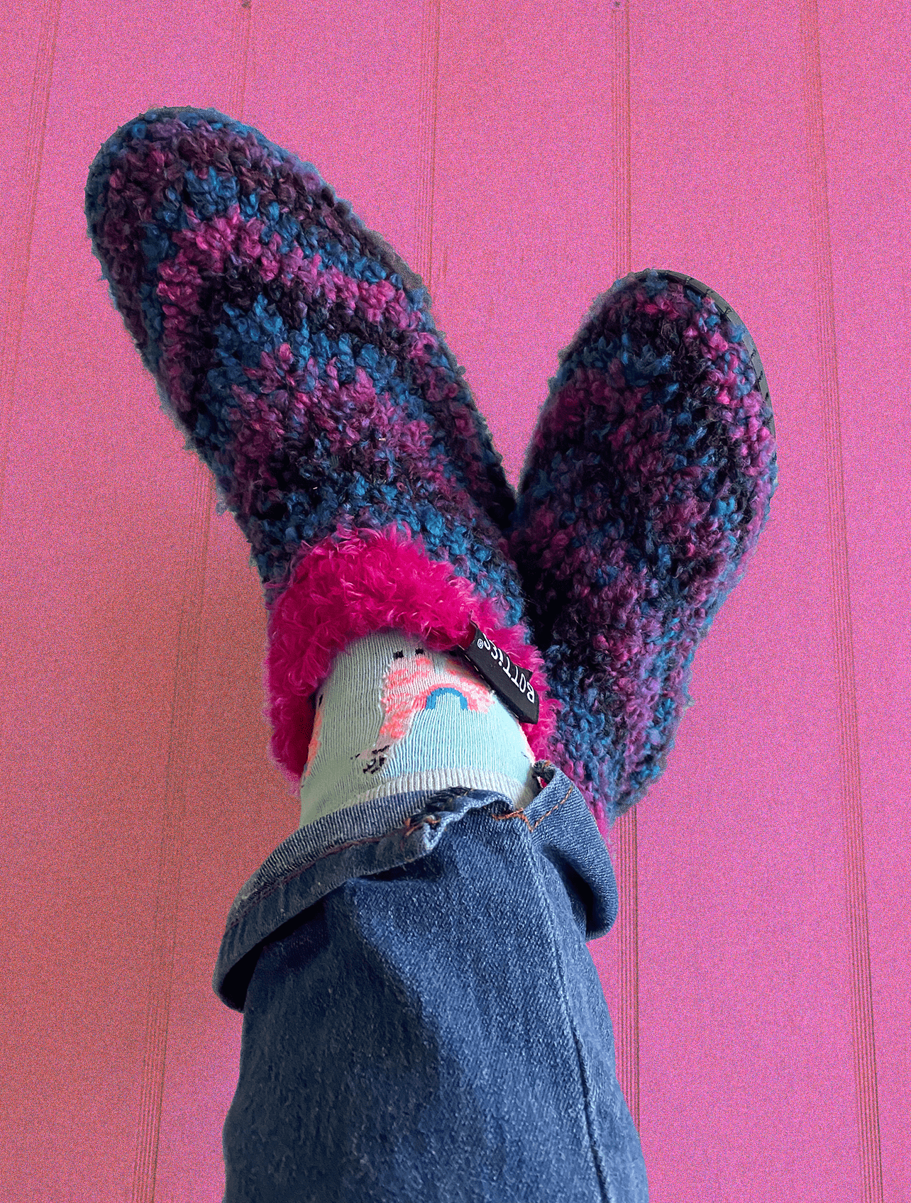 Pantuflas Bryophyta