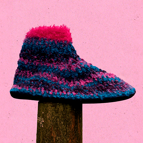 Pantuflas Bryophyta