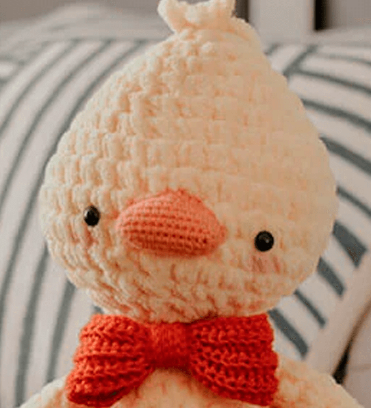 pollito-serafin_foto-2_abb50742-18b9-4ec6-af22-2acfba15086e.png