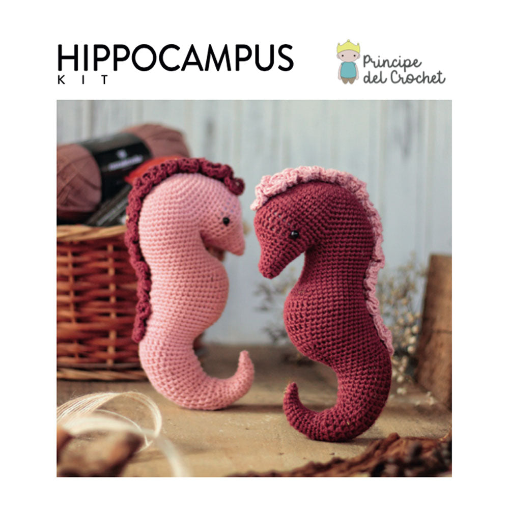 Kit Hippocampus - Principe del crochet